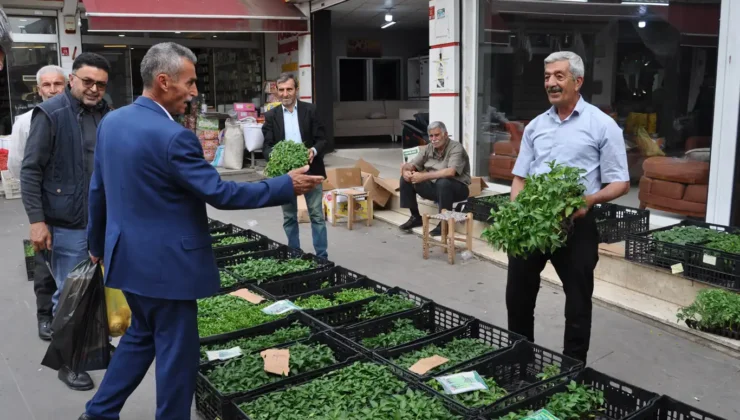 FİDE SATIŞLARINDA ARTIŞ