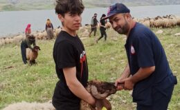 KOÇERLERİN ZORLU YOLCULUĞU