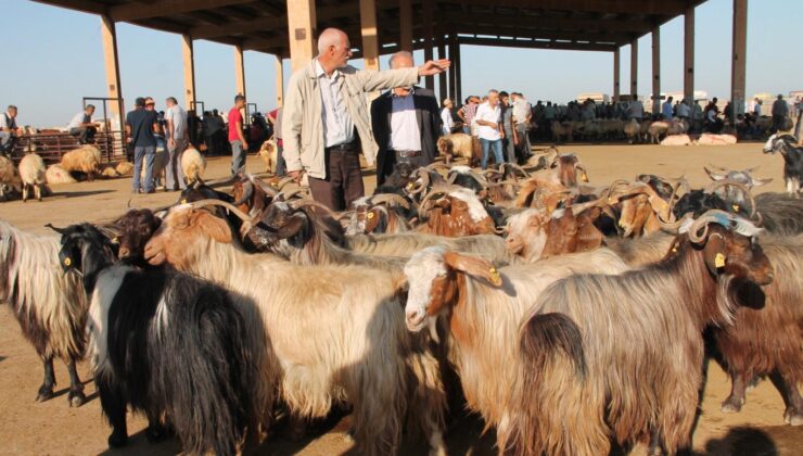 KURBAN’IN DERİSİNİ SATMAK CAİZ DEĞİL