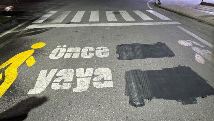 Kürtçe Yazılar Kimse Basmasın Diye mi Siliniyor?