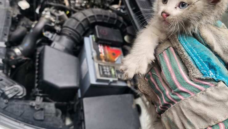 İTFAİYE ARACIN KAPUTUNA SIKIŞAN KEDİYİ KURTARDI