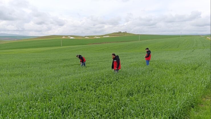 SÜNE’YE KARŞI MÜCADELE ÇALIŞMALARI BAŞLADI