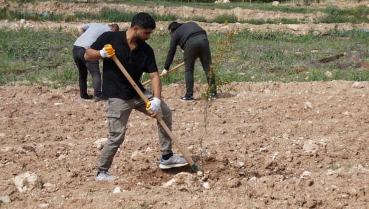 467 ÖĞRENCİYE İŞ DENEYİMİ KAPISI ARALANDI