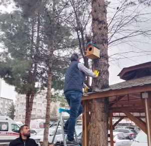 Atık Ahşaplar Kuşlara Yuva Oldu!