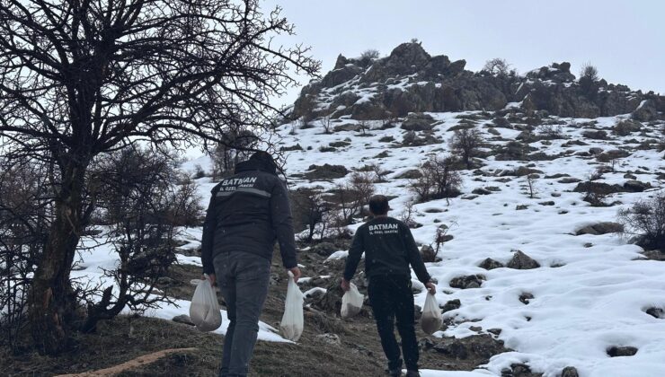 DOĞAYA YEMLEME SEFERBERLİĞİ!