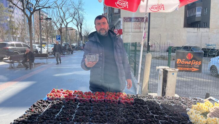 ŞİFA DEPOSU KARADUT TEZGÂHLARDA